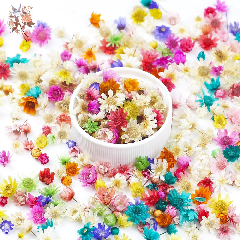 Your Candle Supplies - 400 adet Mini Kurutulmuş Çiçekler, Reçine,