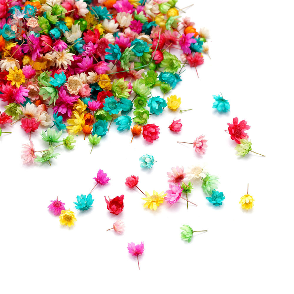 400 adet Mini Kurutulmuş Çiçek - Your Candle Supplies incelemesi ve fiyatı