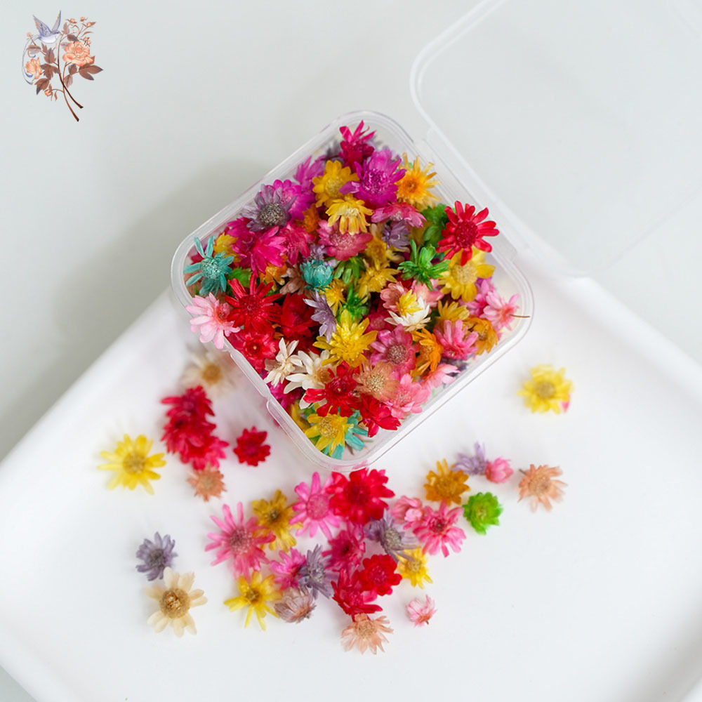 400 adet Mini Kurutulmuş Çiçek - Your Candle Supplies incelemesi ve fiyatı
